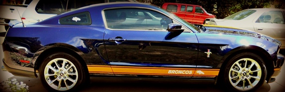 Denver Bronco Mustang