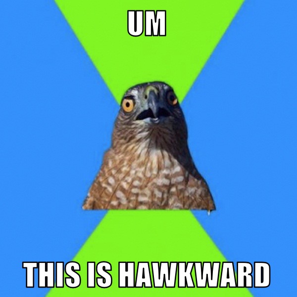 This is Hawkward Meme