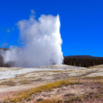 Yellowstone Old Faithful