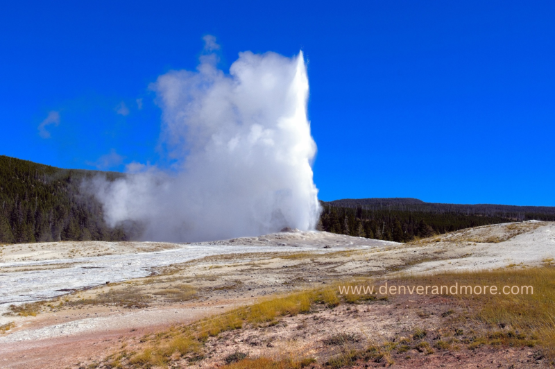 Yellowstone Old Faithful