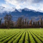 Colorado Farming